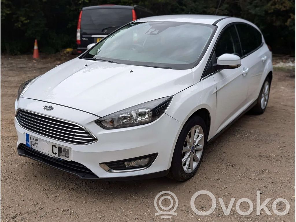 Focus Focus  E3BG6675