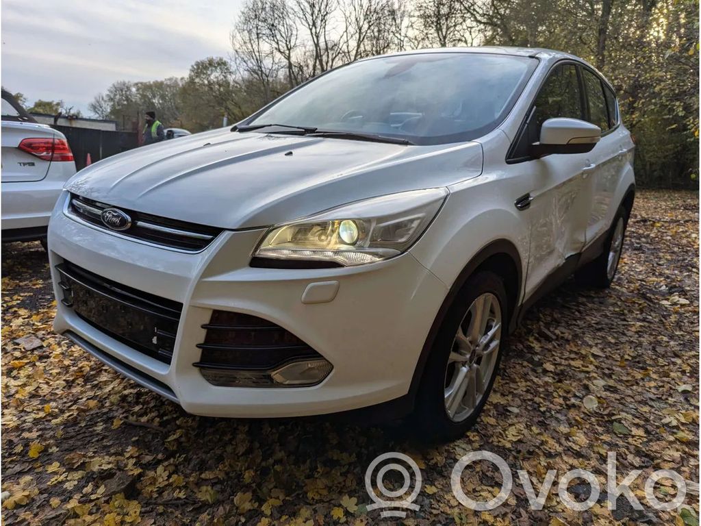 Kuga II Kuga