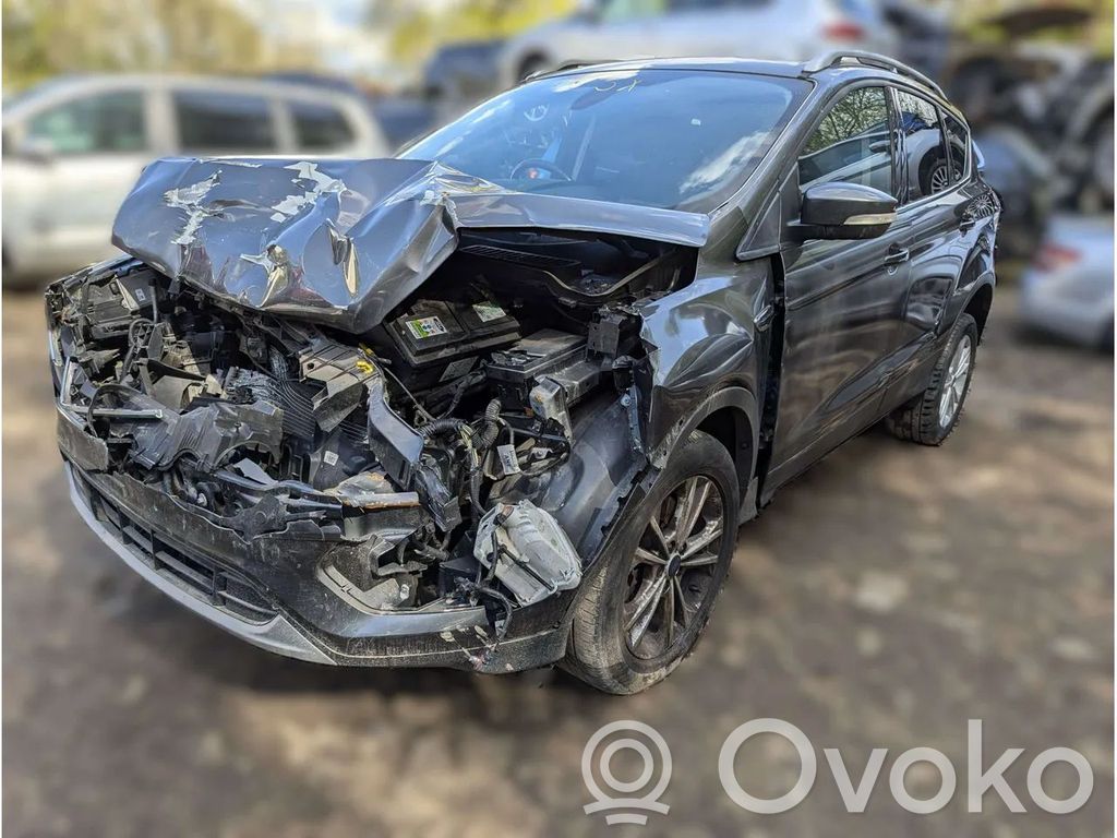 Kuga II Kuga  9811207180