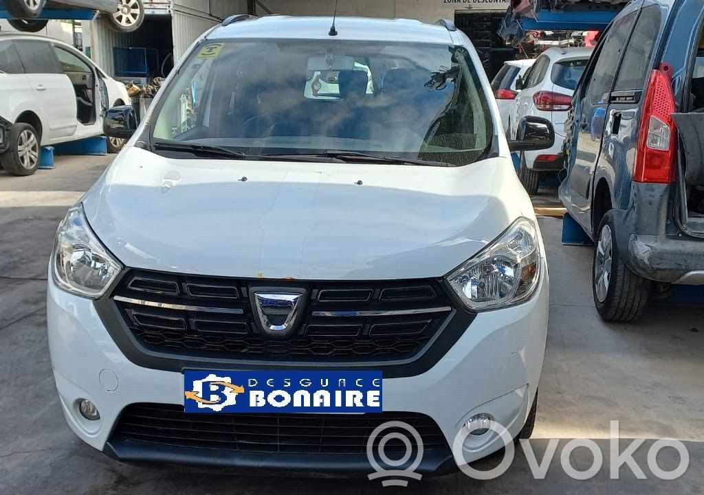 Lodgy Lodgy  227937300R