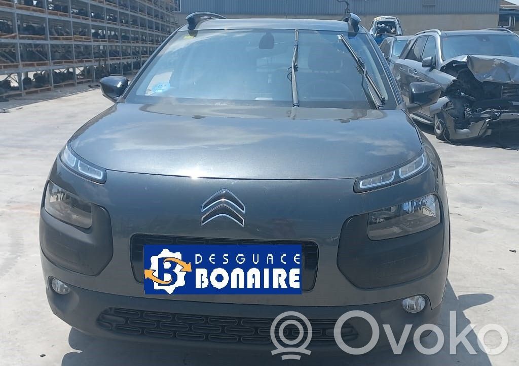 C4 Cactus C4 Picasso, Grand Picasso, Aircross, Cactus  9801070080