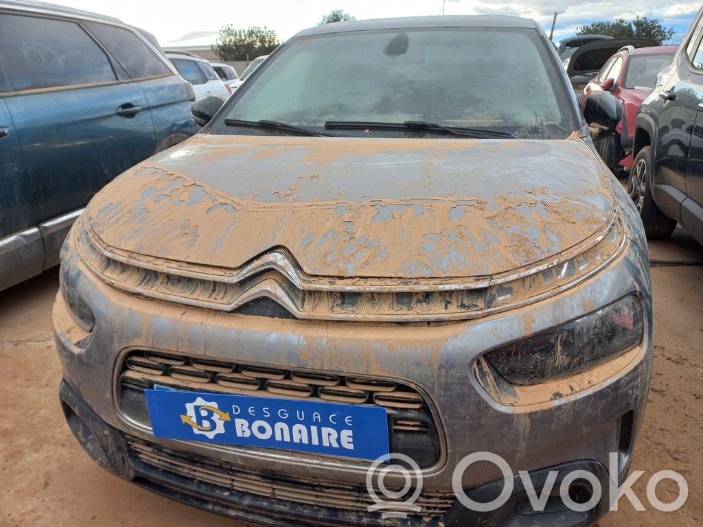 C4 Cactus C4 Picasso, Grand Picasso, Aircross, Cactus  9827306980