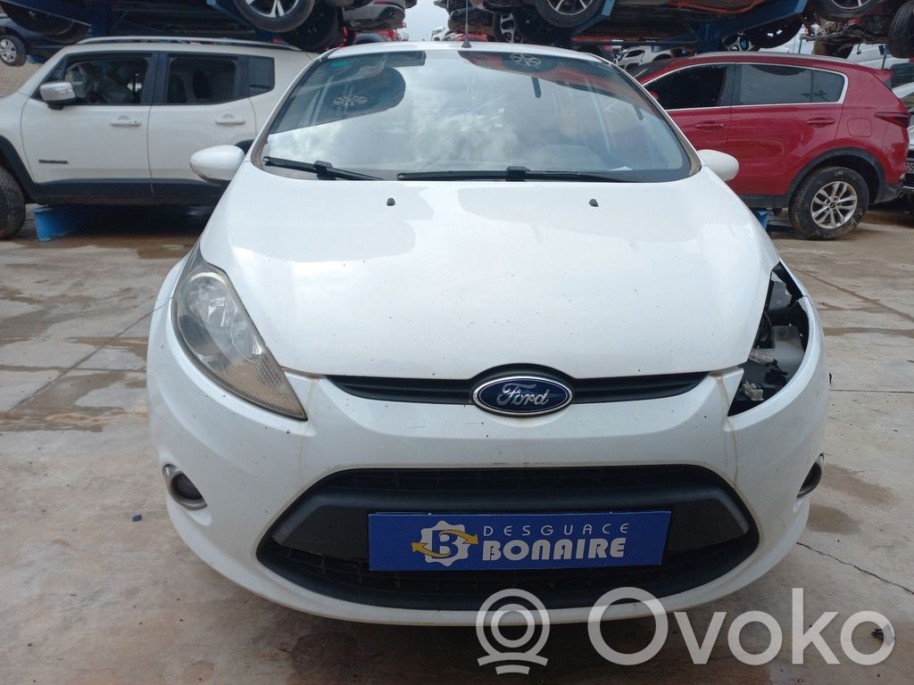 Fiesta Fiesta  BV2112A650ACC