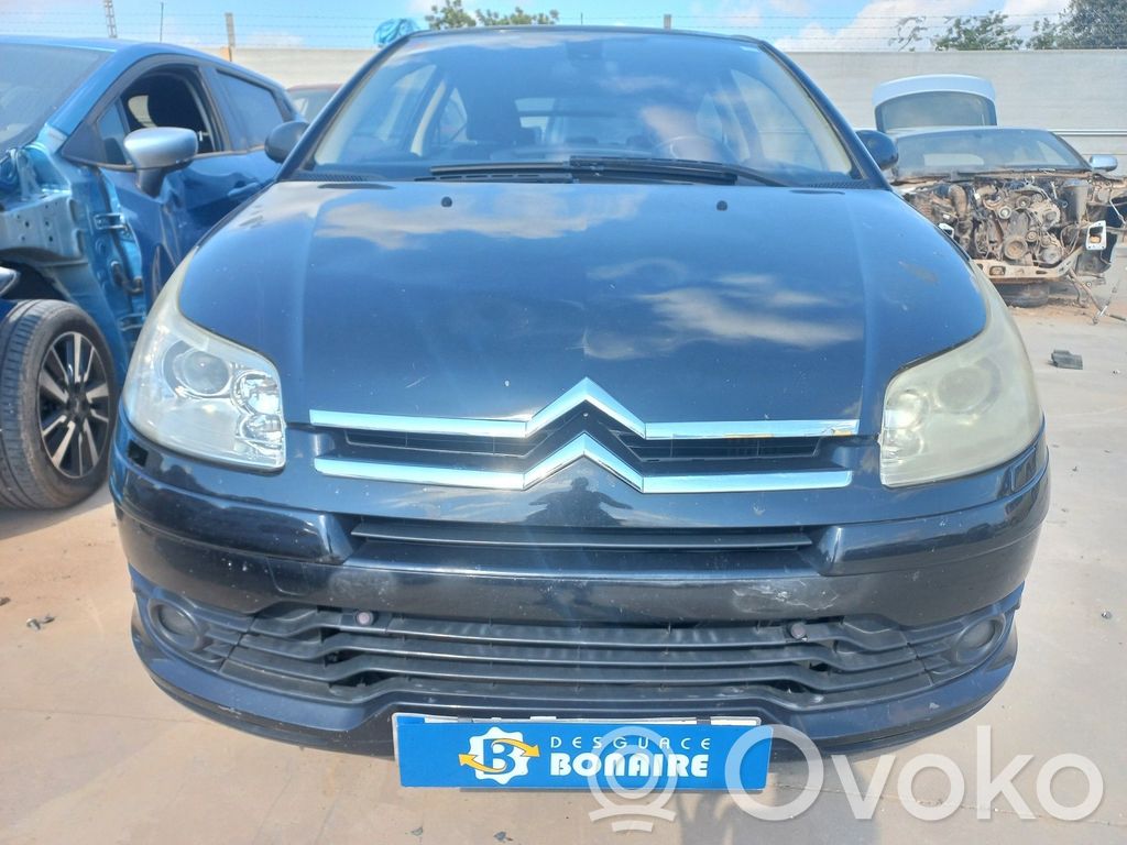 C4 I C4 Picasso, Grand Picasso, Aircross, Cactus  9658344580