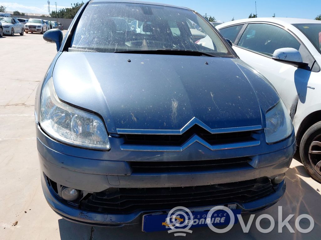 C4 I C4 Picasso, Grand Picasso, Aircross, Cactus  6206L6