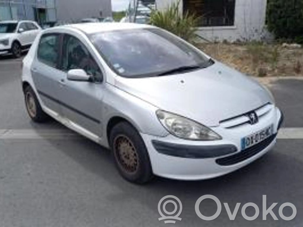 307 307  6580HT