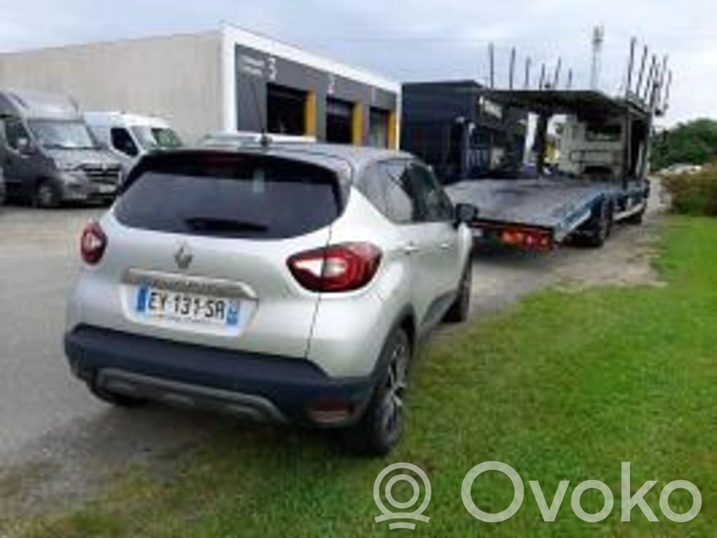 Captur Captur  484009811R