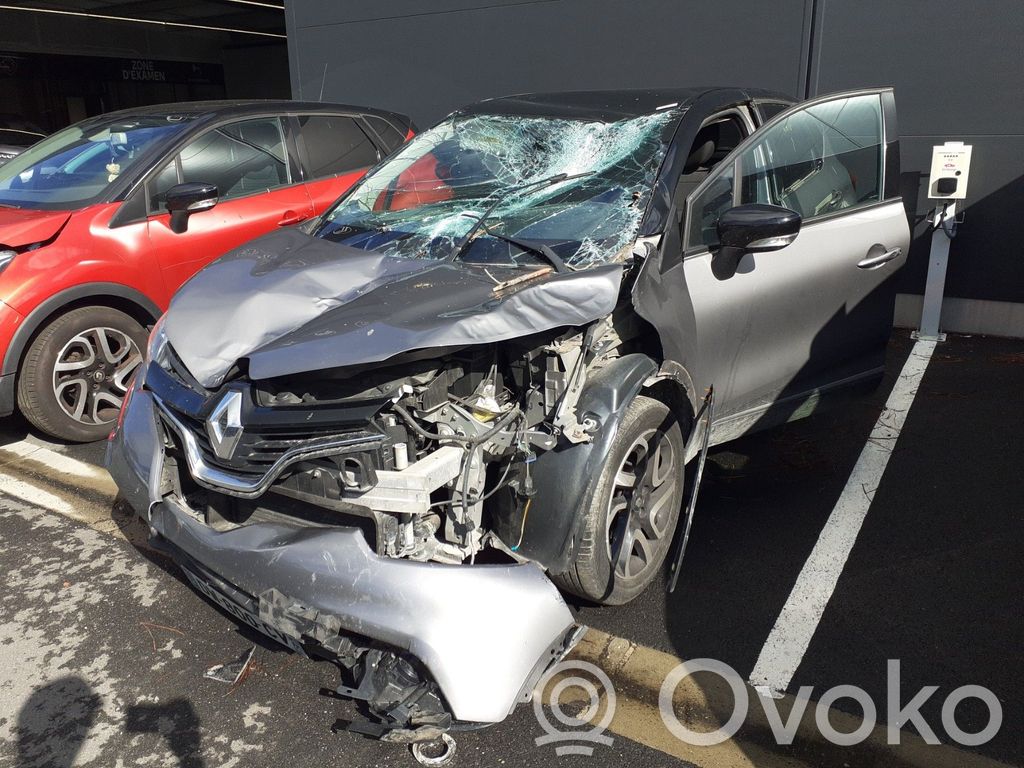 Captur Captur  255405718R