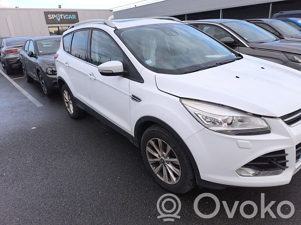 Kuga II Kuga  2024434
