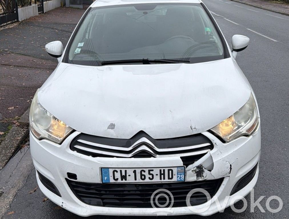 C4 II C4 Picasso, Grand Picasso, Aircross, Cactus  1623214980