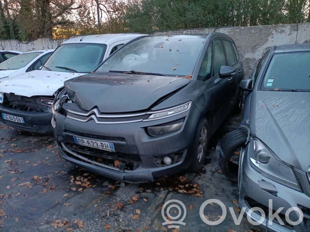 C4 Grand Picasso C4 Picasso, Grand Picasso, Aircross, Cactus  1610104480