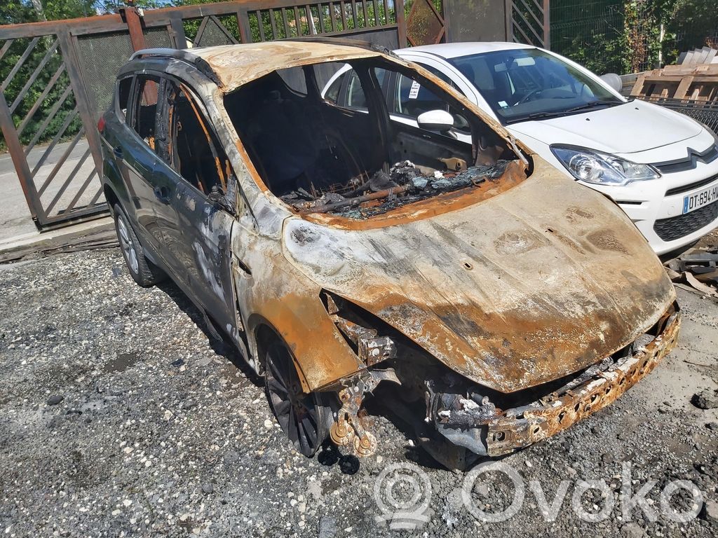 Kuga II Kuga  1837225