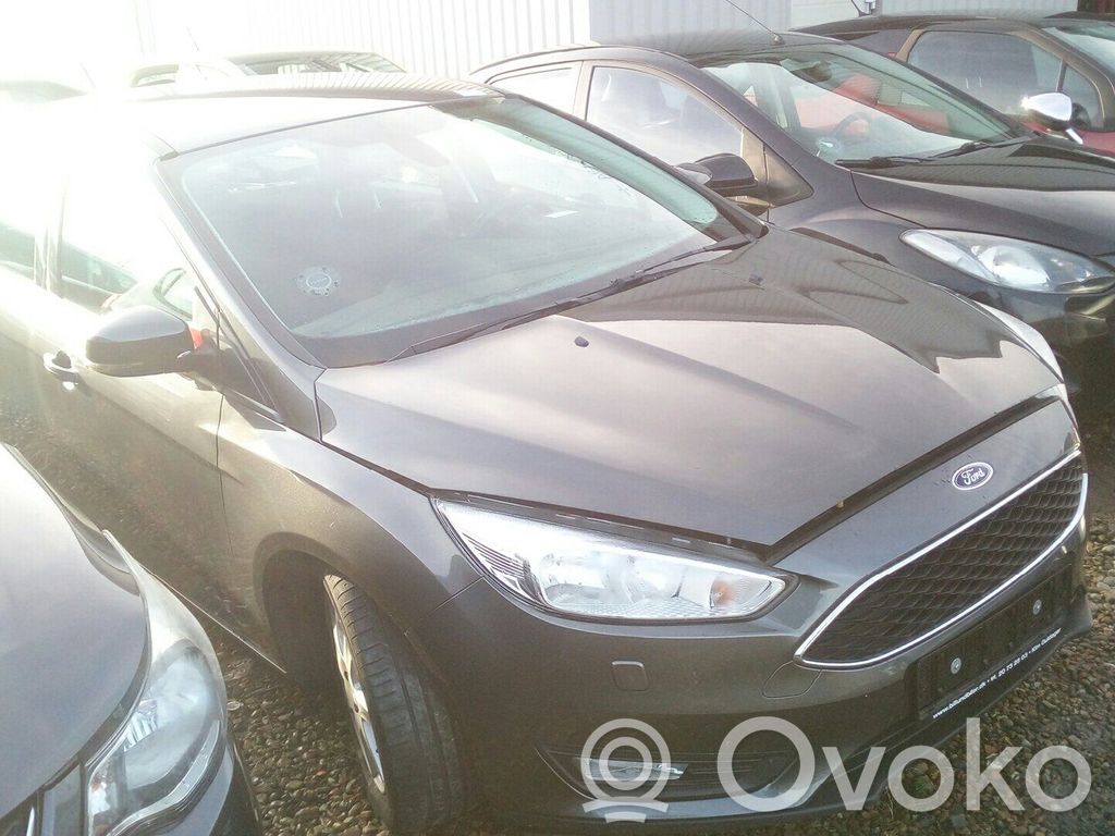 Focus Focus  2197568