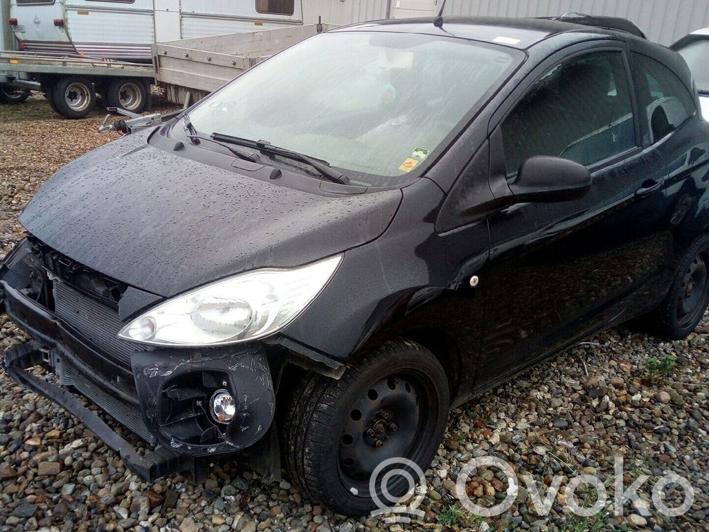 Ka Ka  2019565