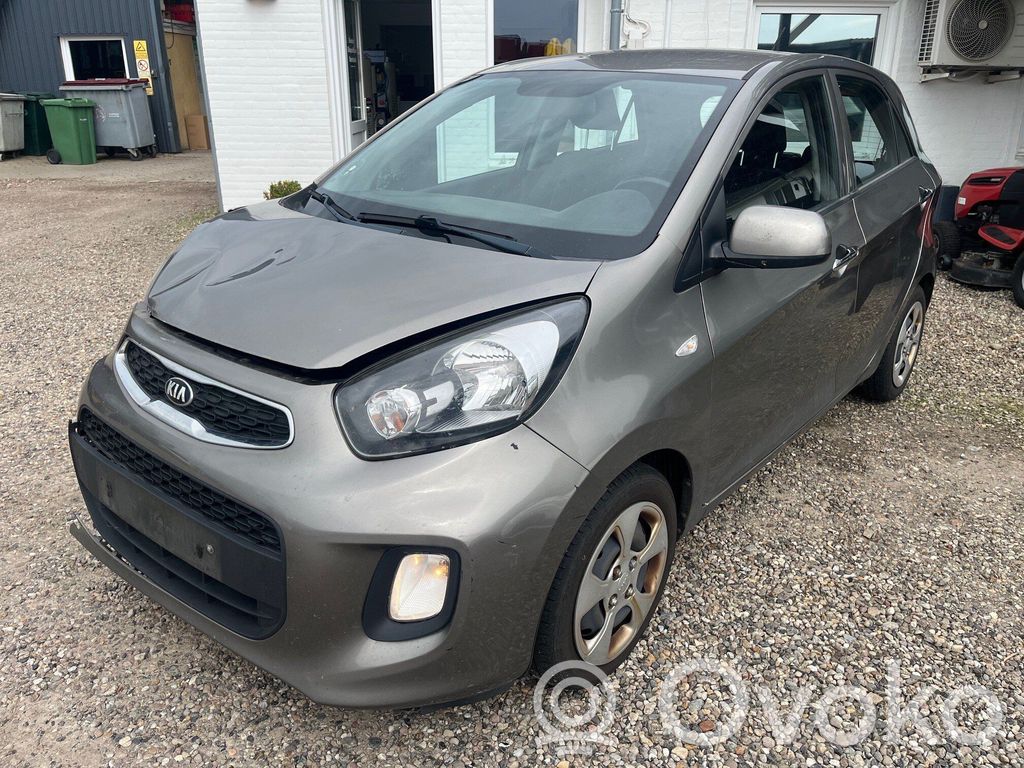 Picanto Picanto  3911704091