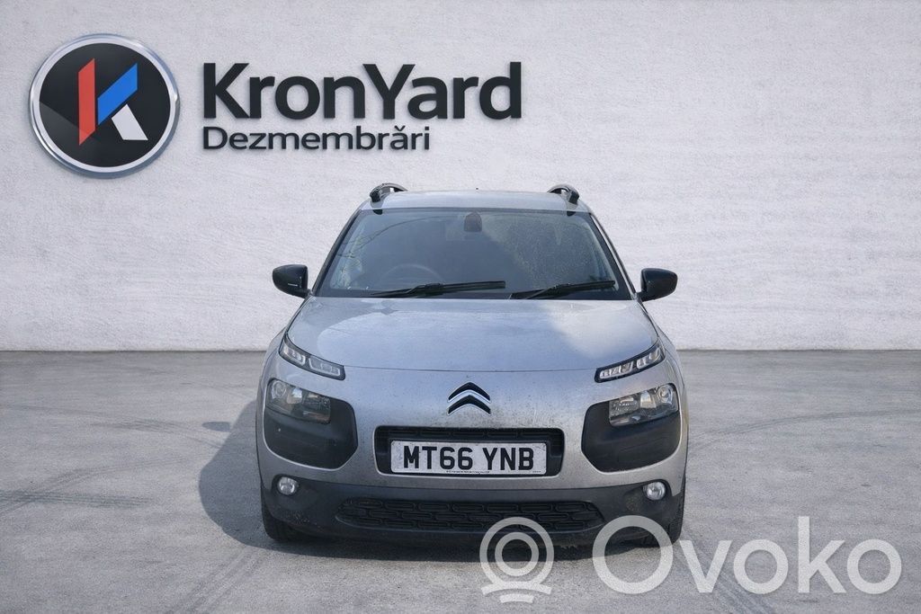 C4 Cactus C4 Picasso, Grand Picasso, Aircross, Cactus