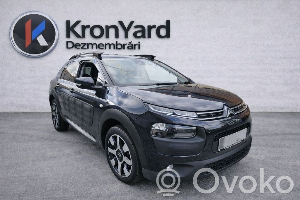 C4 Cactus C4 Picasso, Grand Picasso, Aircross, Cactus