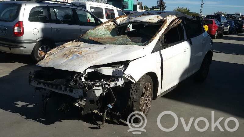 Focus Focus  AV616477CE