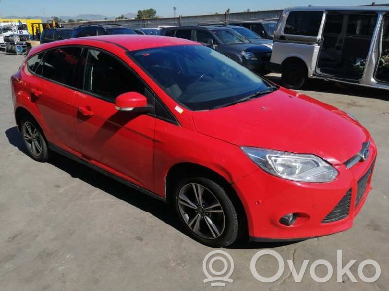 Focus Focus  1918796