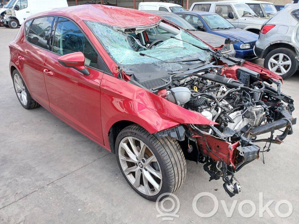 Leon (5F) Leon  5F4971194A