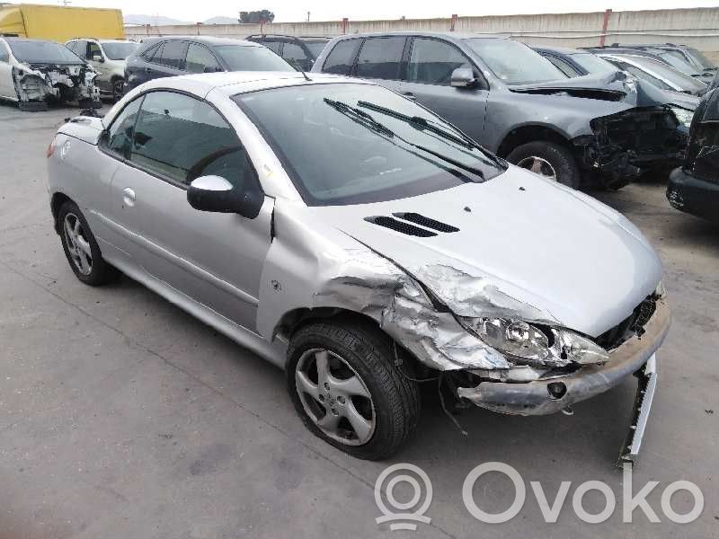 206 206, 206+  9004P1