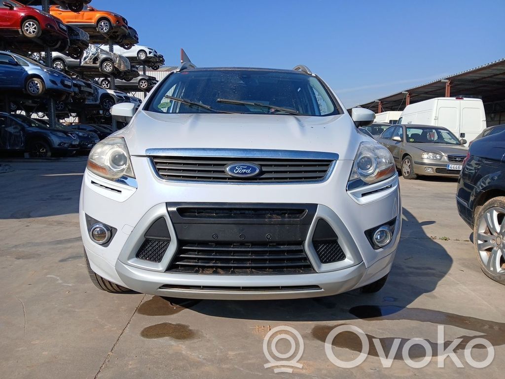 Kuga I Kuga  1721597