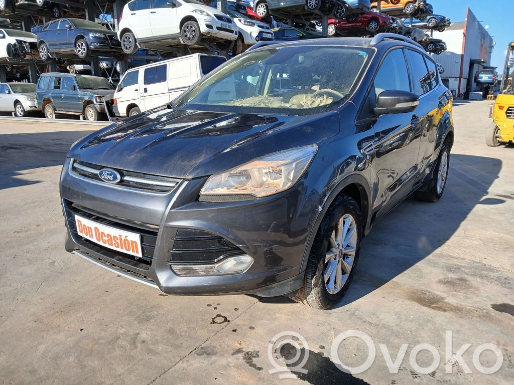 Kuga II Kuga  1948933