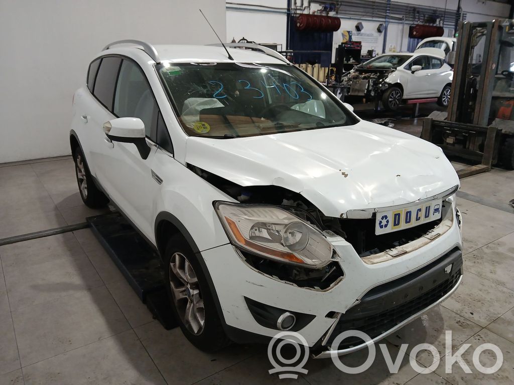 Kuga I Kuga  1594946