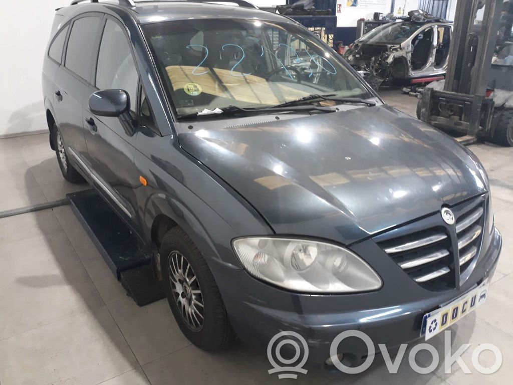 Rodius Rodius/Stavic  D27DT