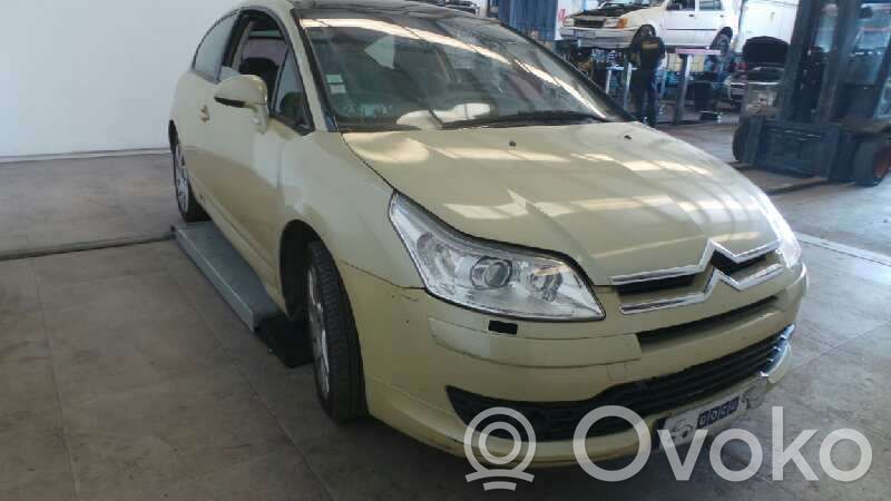 C4 I C4 Picasso, Grand Picasso, Aircross, Cactus  9004W5