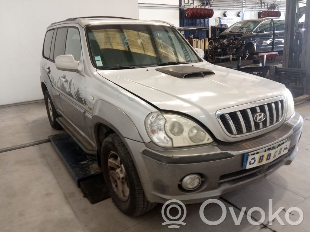 Terracan Terracan  66310H1110