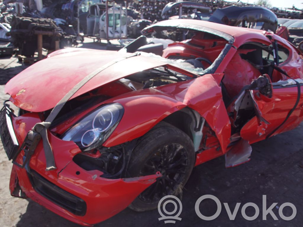 Cayman 981 Cayman  7PP907659