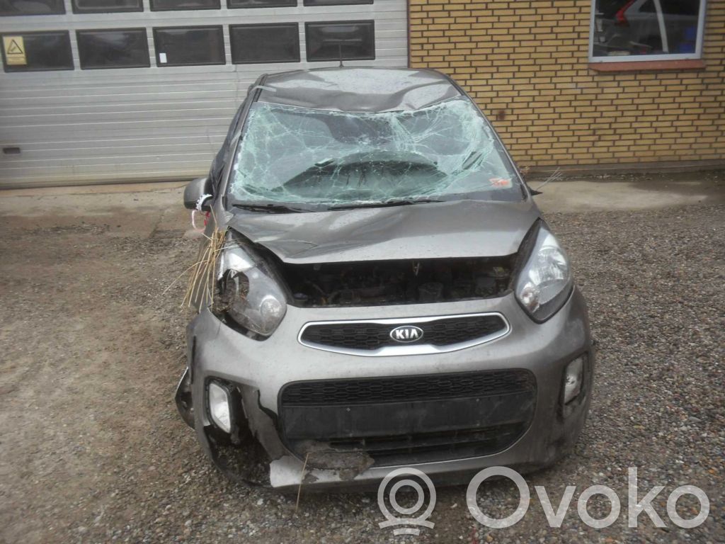 Picanto Picanto  ECS