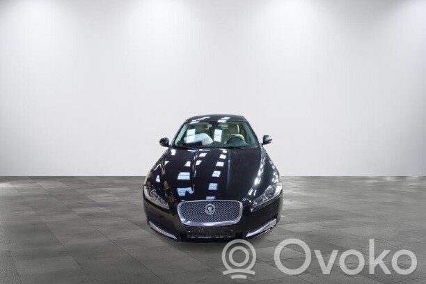 XF XF