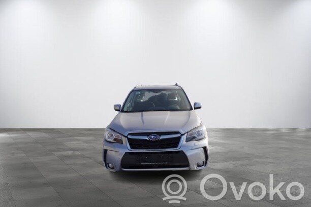 Forester SJ Forester