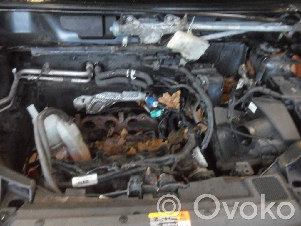 Focus C-MAX Focus C-MAX, C-MAX, Grand C-MAX