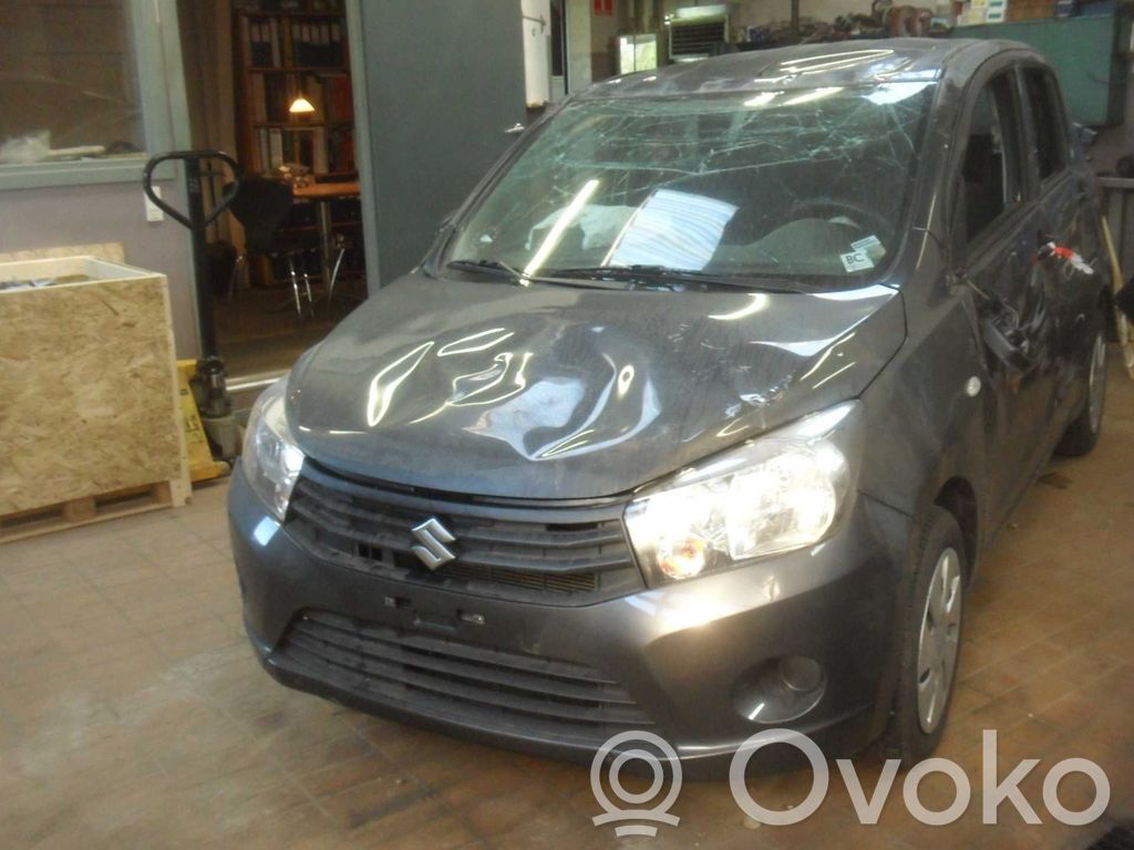 Celerio Celerio