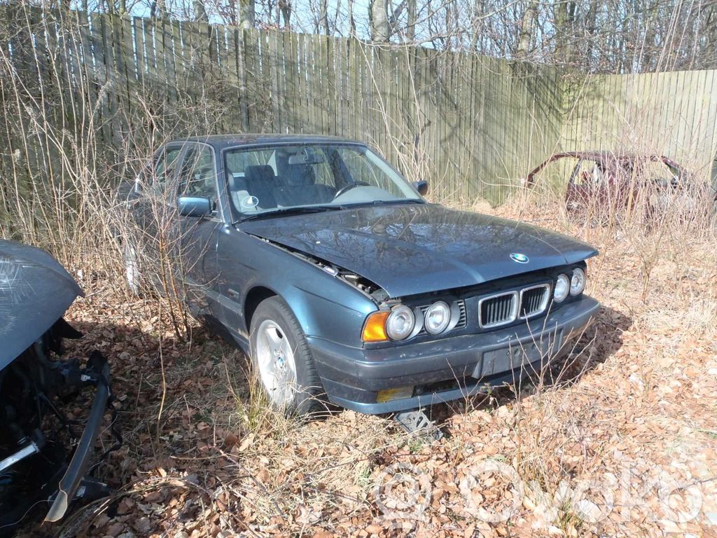 5 E34 Series 5  ORANGE