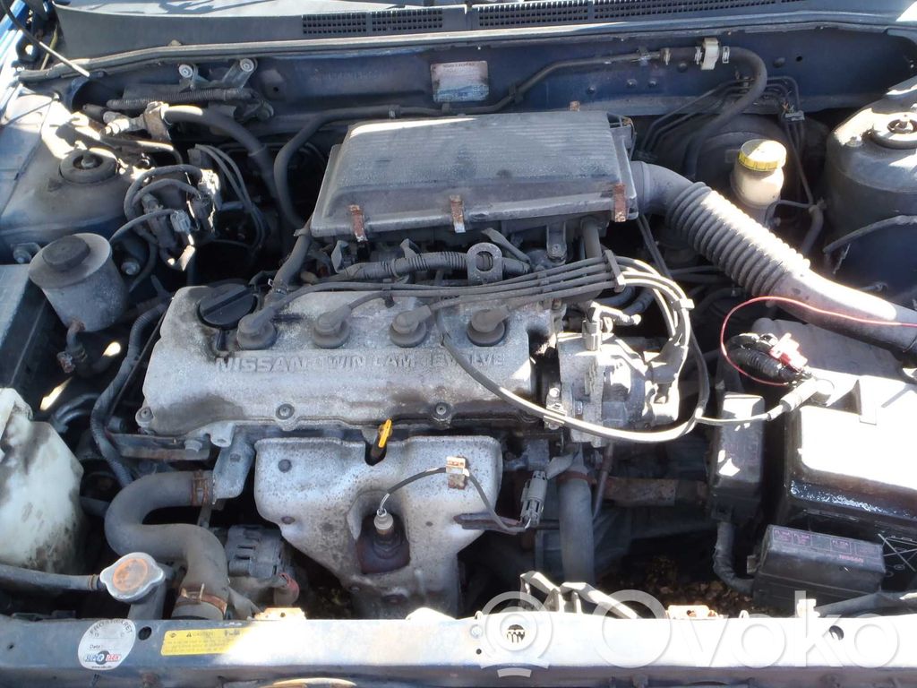 Almera Almera  237102N305