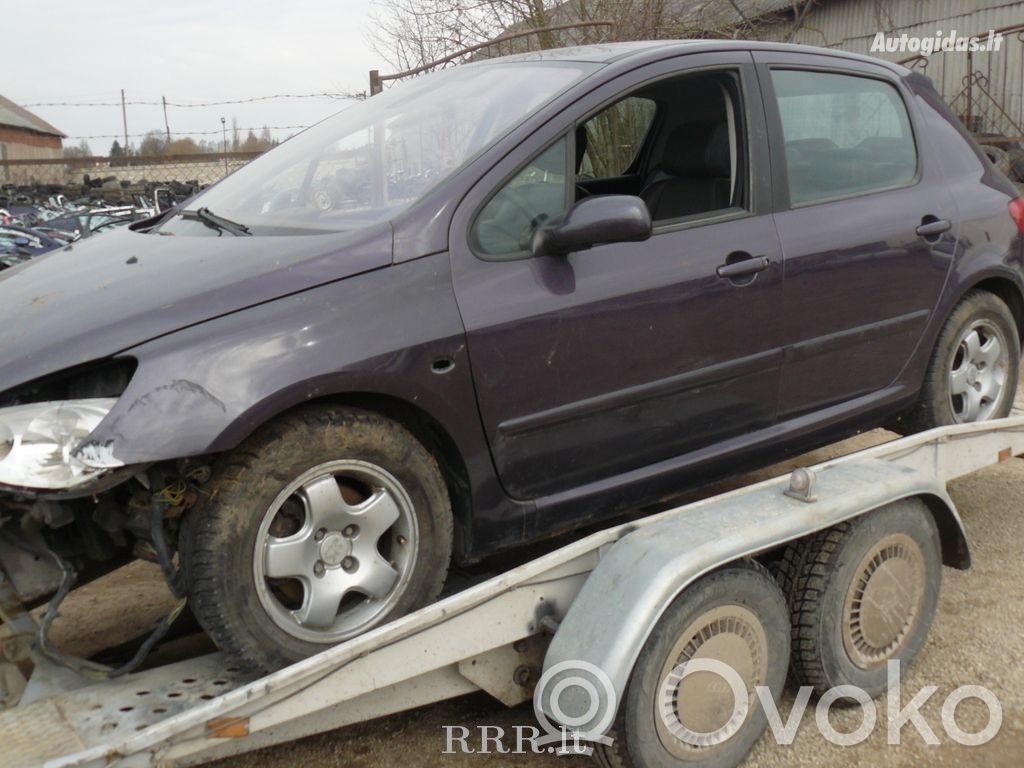 307 307  5WS40145AT