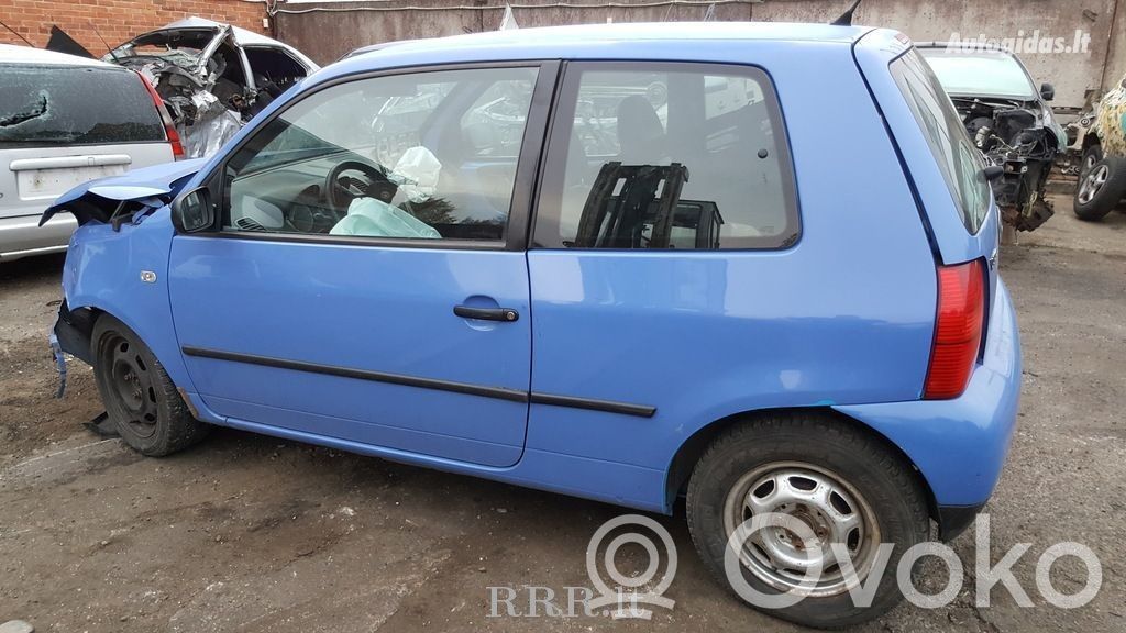 Lupo Lupo