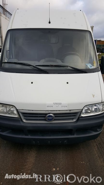 Ducato Ducato