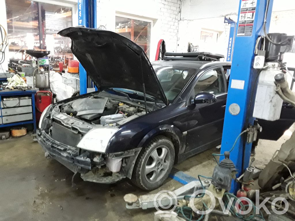 Signum Signum  9185881