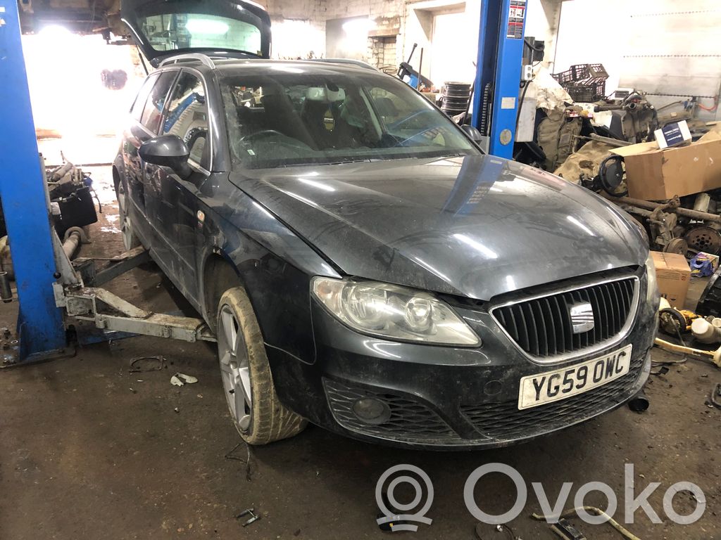 Exeo (3R) Exeo  8E0399313BD