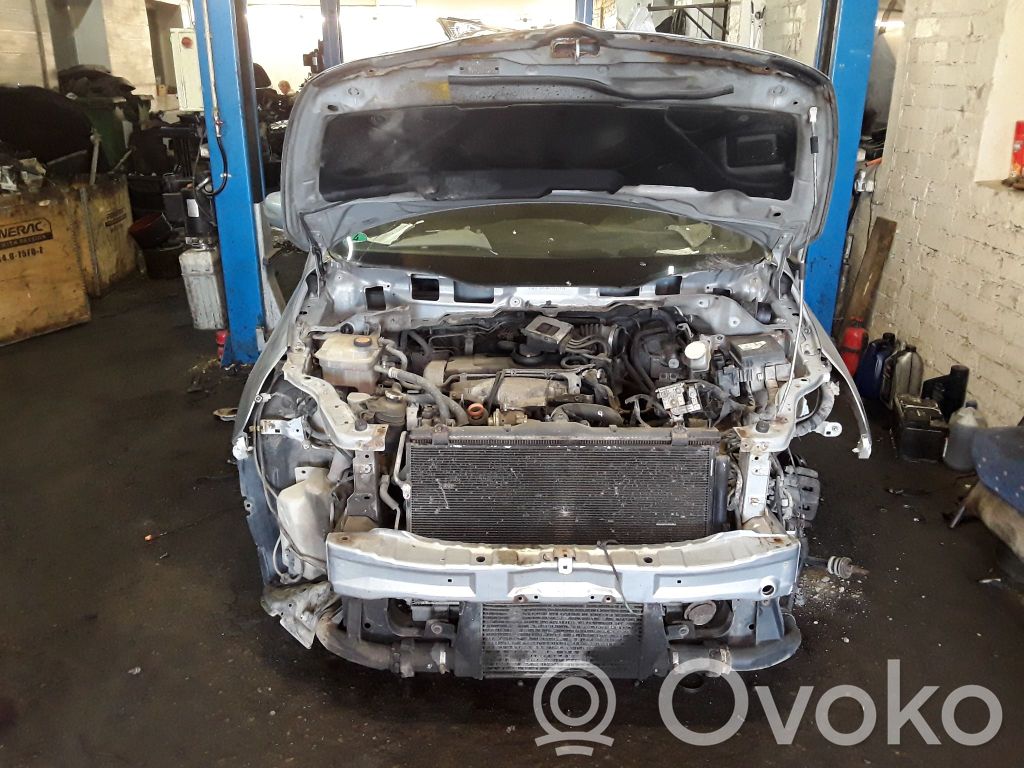 Grandis Grandis  06F903023F