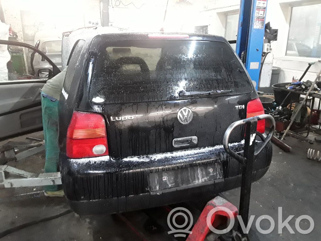 Lupo Lupo