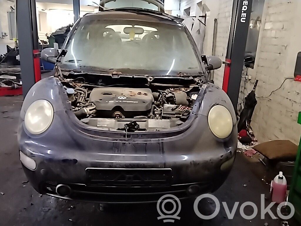 New Beetle New Beetle
