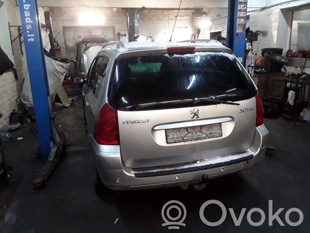 307 307  E9014145