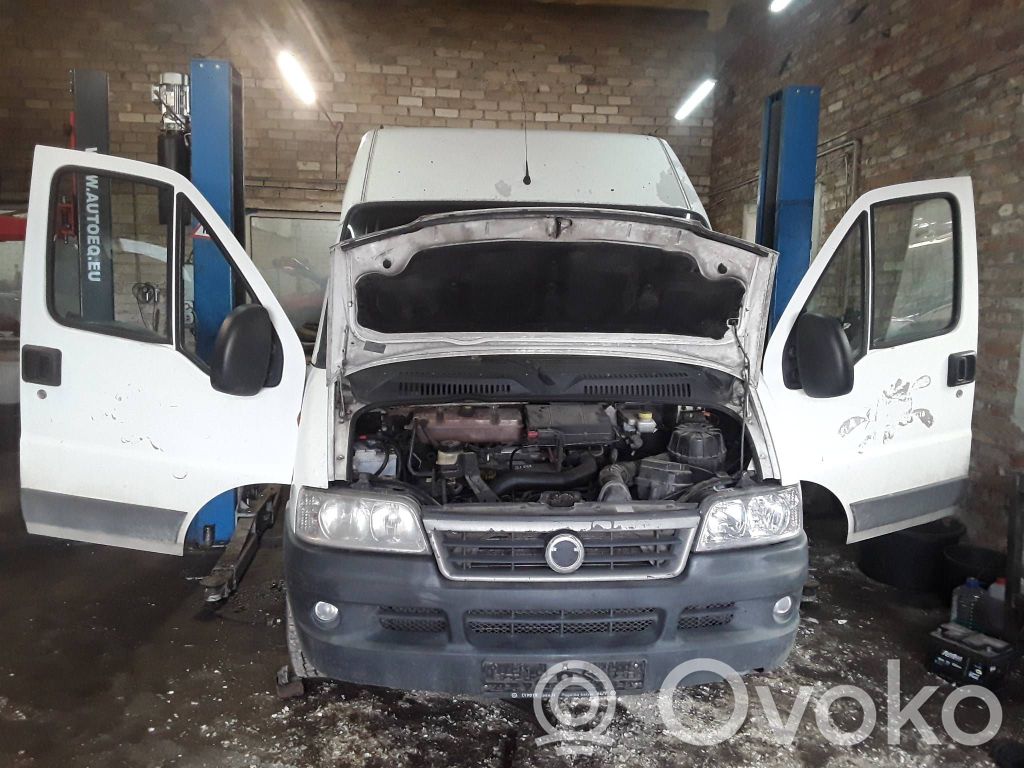 Ducato Ducato  040648010