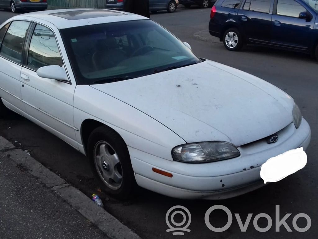 Lumina Lumina  16236757